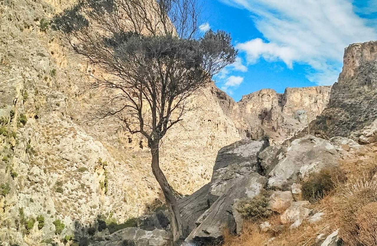 Appartamento Carissa house in Crete Sitia  Esterno foto
