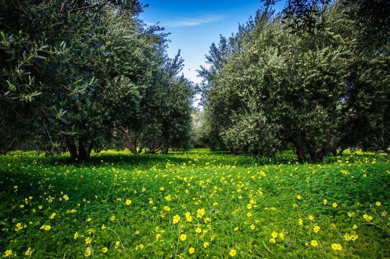 Appartamento Carissa house in Crete Sitia  Esterno foto