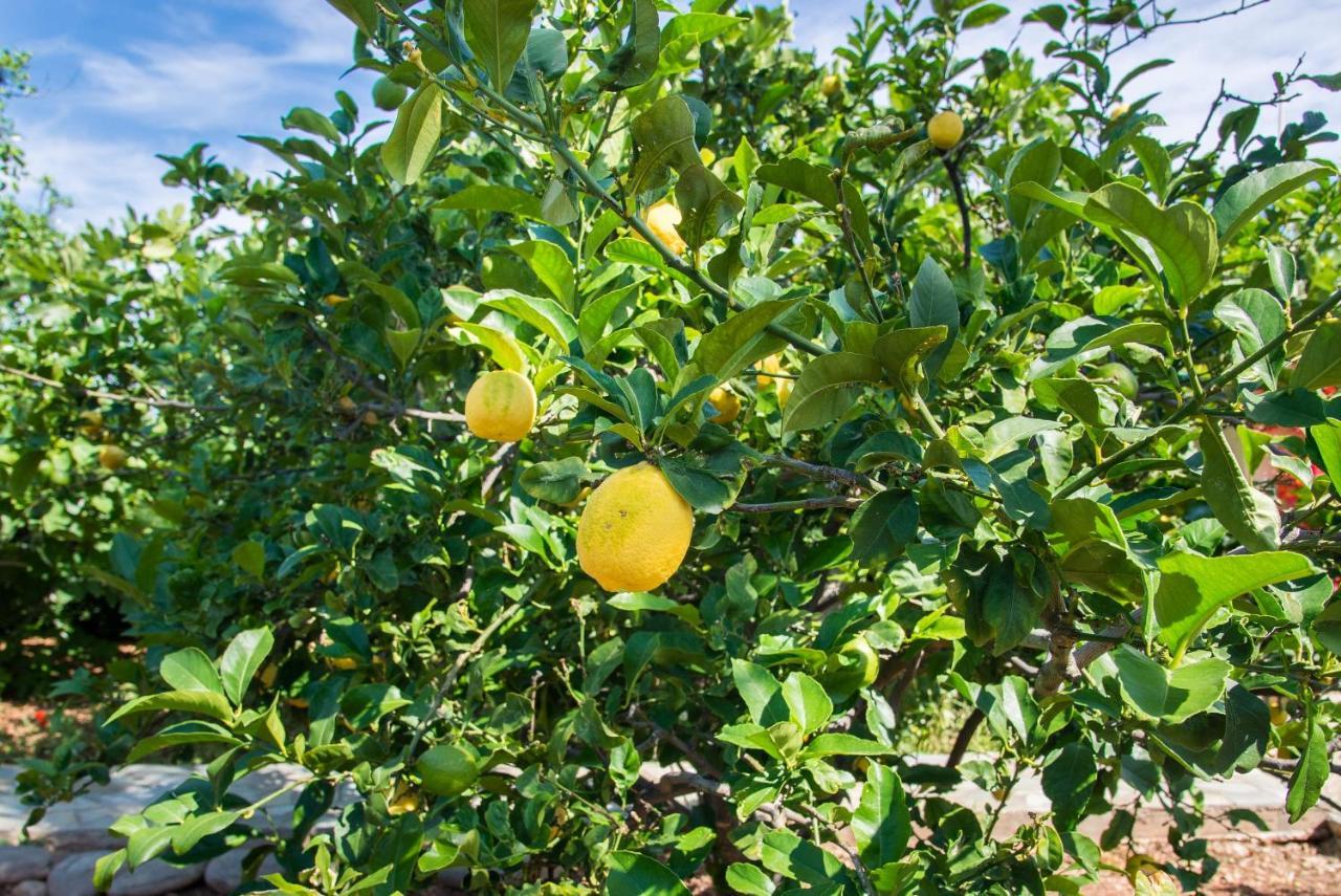 Appartamento Carissa house in Crete Sitia  Esterno foto
