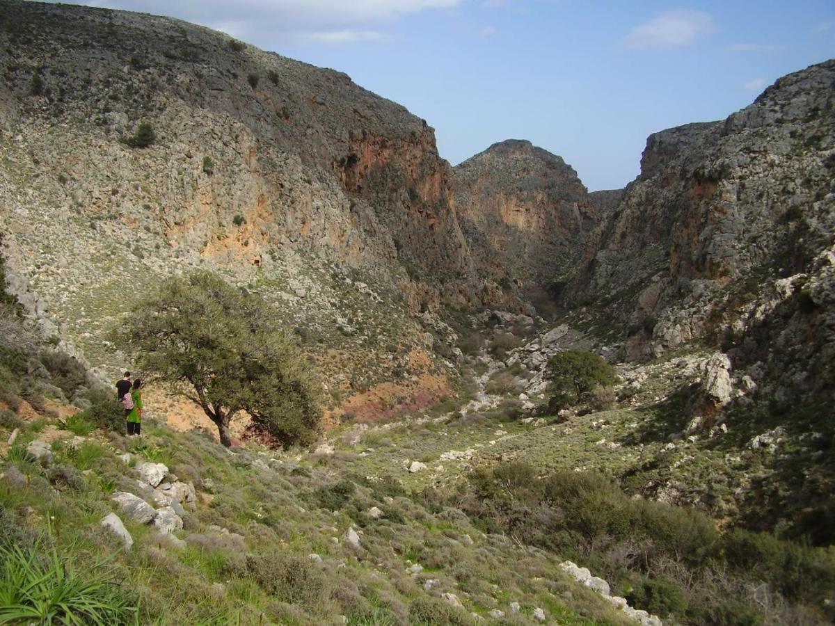 Appartamento Carissa house in Crete Sitia  Esterno foto