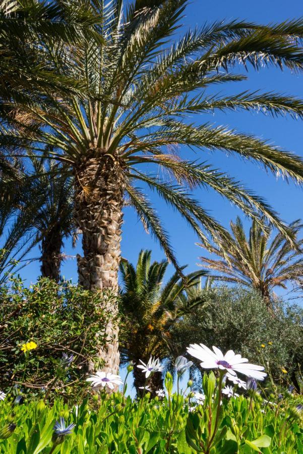 Appartamento Carissa house in Crete Sitia  Esterno foto